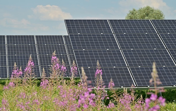Renewable energy overtakes coal in global generation for the first time