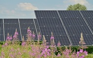 Renewable energy overtakes coal in global generation for the first time