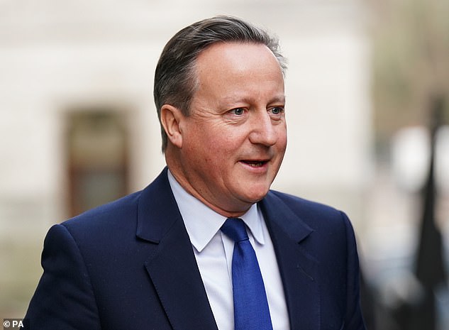 Protection: David Cameron was caught up in a lobbying scandal involving Lex Greensill