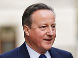 Greensill leak by Government agency  'to protect David Cameron'